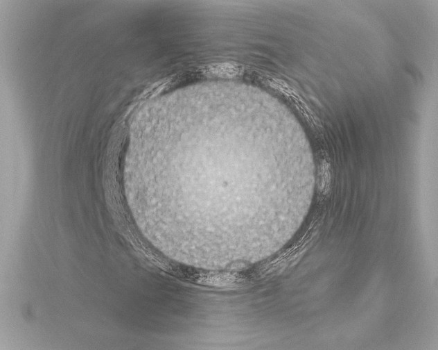 X0000114441201200911271631