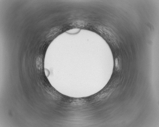 X0000114441203200911271631