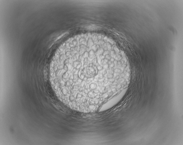 X0000114441205200911271631