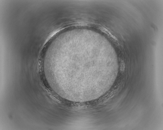 X0000114441208200911271631
