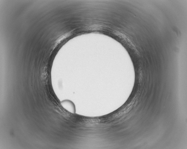 X0000114441210200911271631