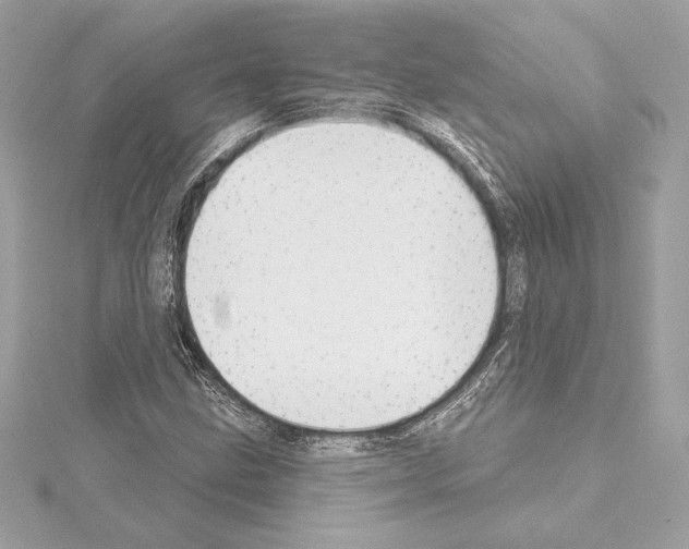 X0000114441211200911271631