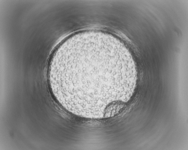 X0000114441216200911271631