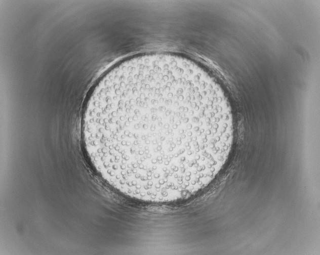 X0000114441220200911271631