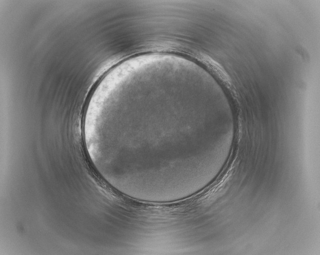 X0000114441226200911271631
