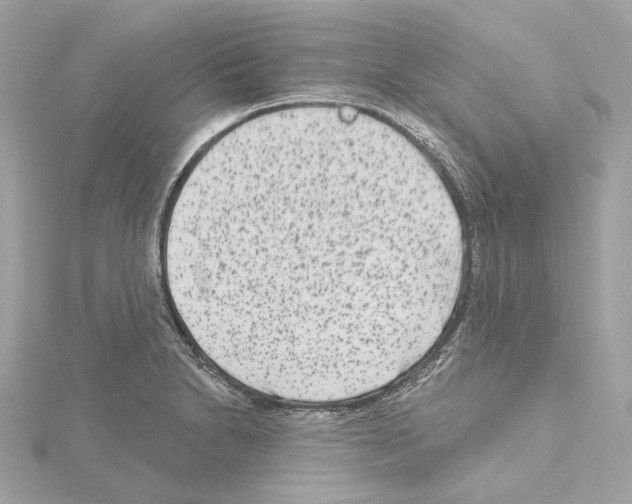 X0000114441230200911271631