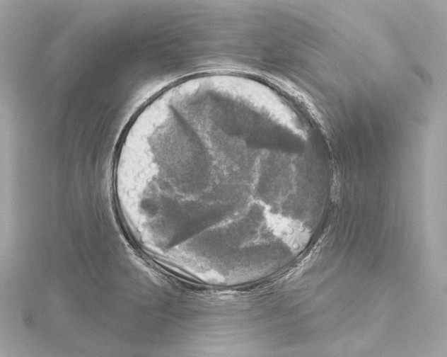 X0000114441231200911271631