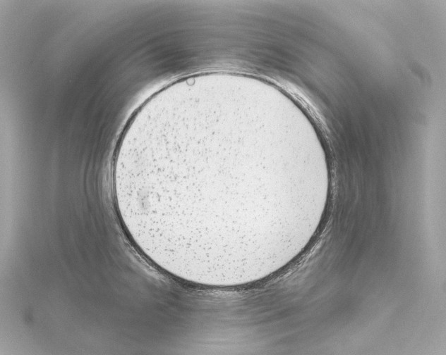 X0000114441238200911271631