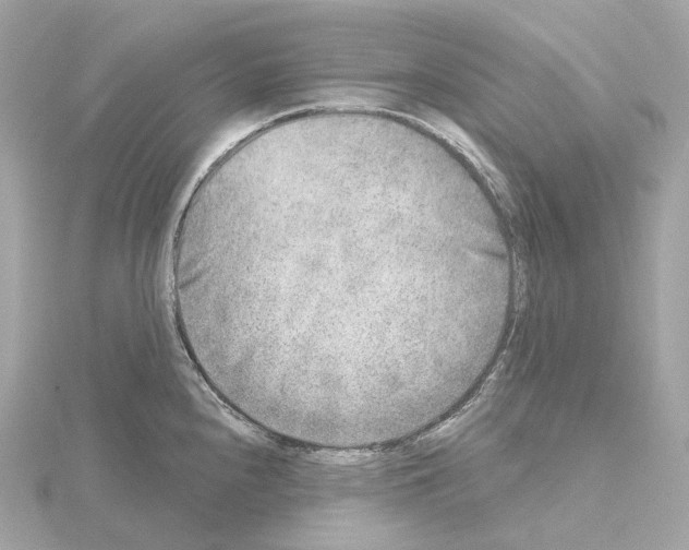 X0000114441240200911271631