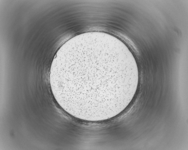 X0000114441241200911271631