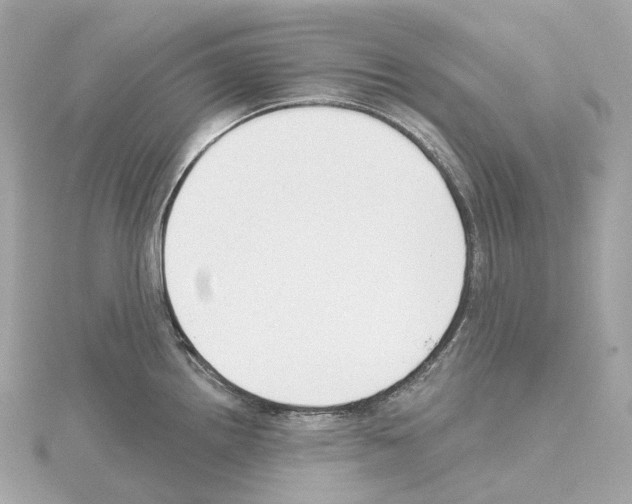 X0000114441242200911271631