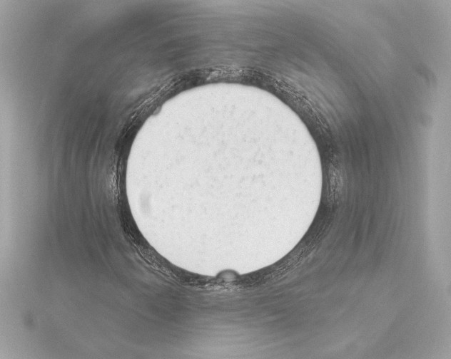 X0000114441250200911271631