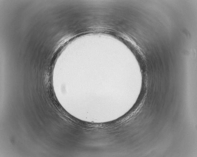 X0000114441259200911271630