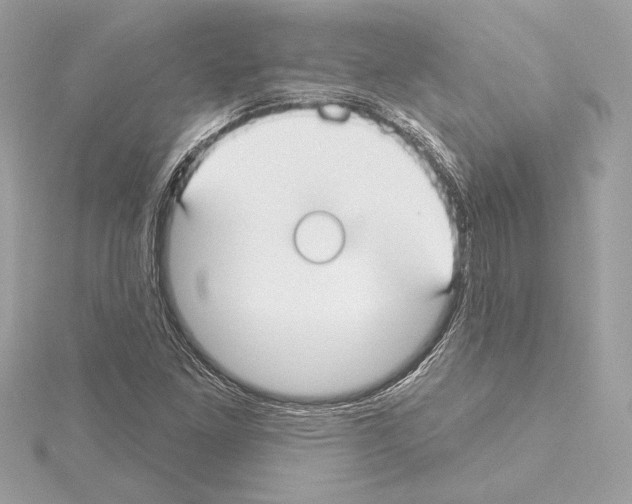 X0000114441261200911271630