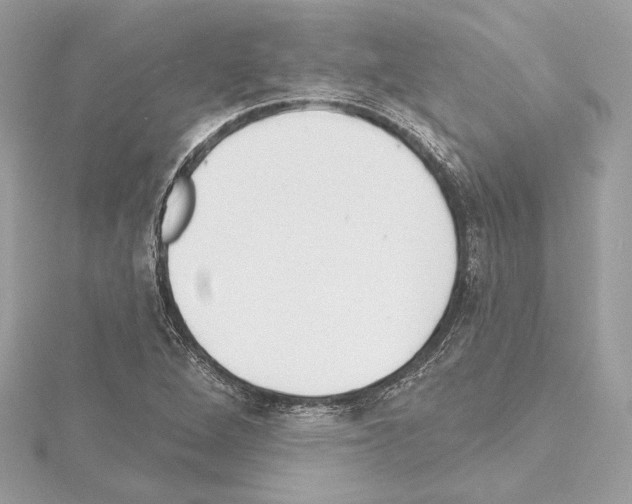 X0000114441264200911271630