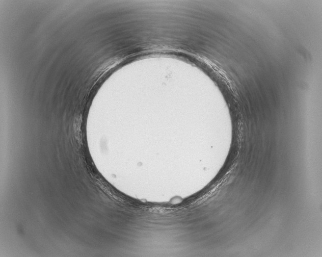 X0000114441265200911271630
