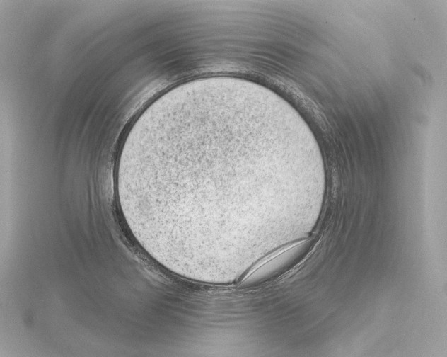 X0000114441274200911271630