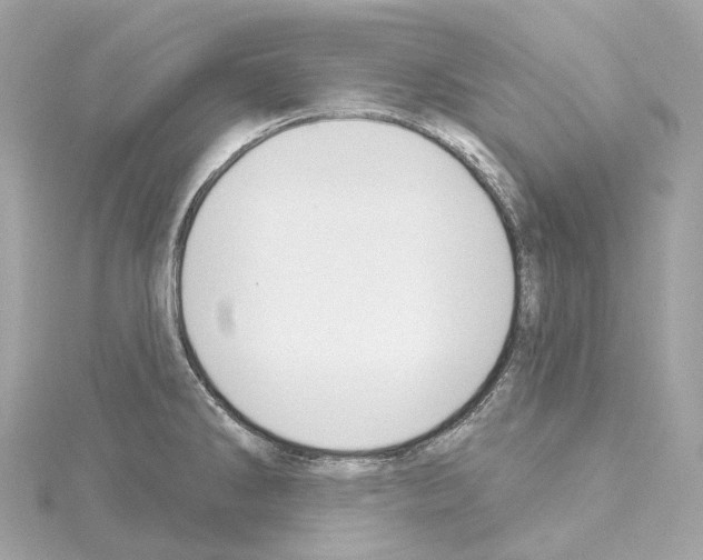 X0000114441286200911271630