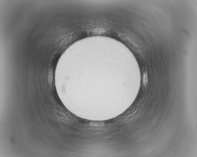 X0000114441299200911271629