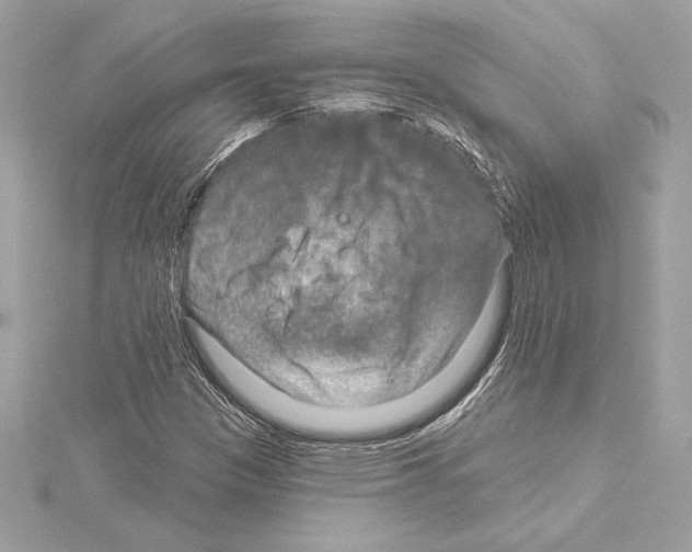 X0000114441305200911271629