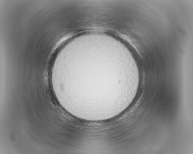 X0000114441307200911271629