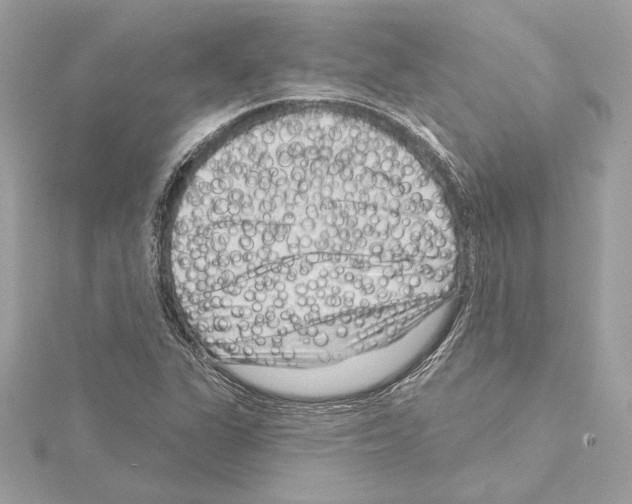 X0000114441311200911271629