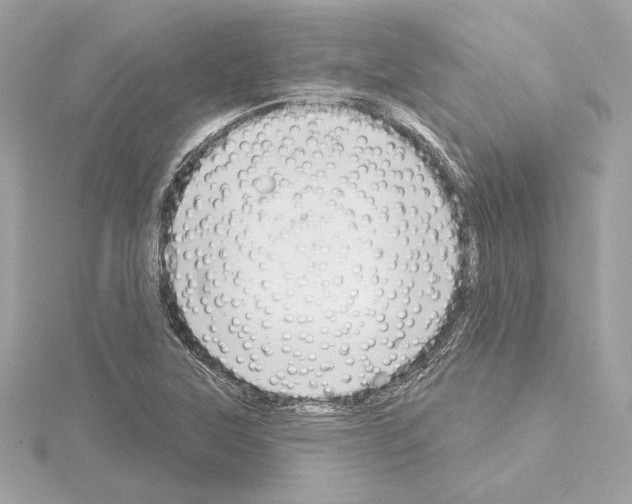 X0000114441315200911271630