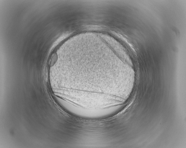 X0000114441317200911271630