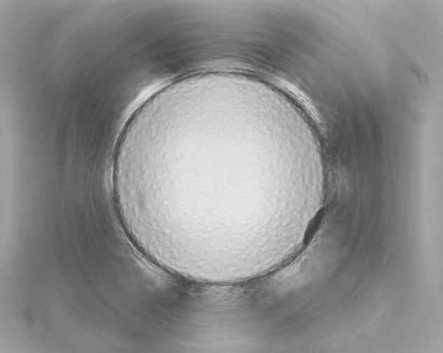 X0000114441322200911271630