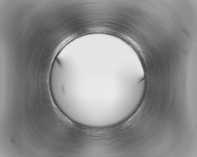 X0000114441330200911271630