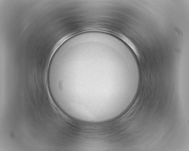 X0000114441338200911271630