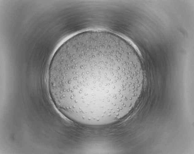 X0000114441343200911271630