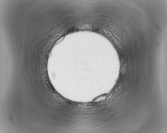 X0000114441345200911271629