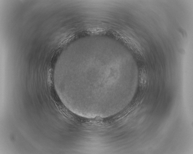 X0000114441346200911271629