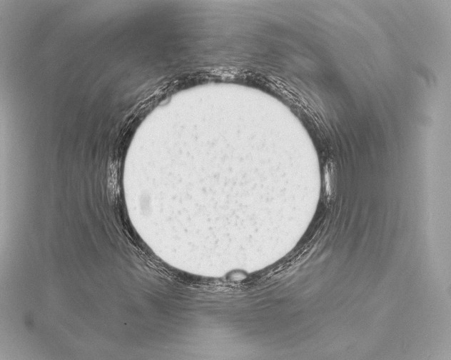 X0000114441347200911271629
