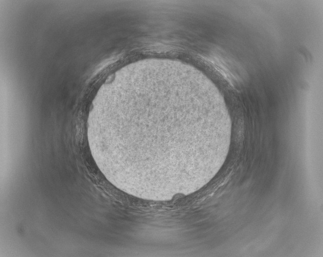 X0000114441350200911271629