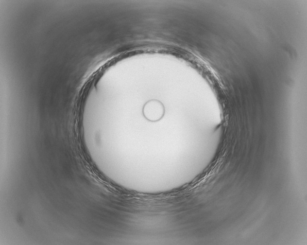 X0000114441352200911271629
