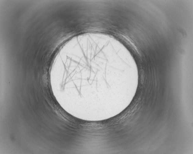 X0000114441356200911271629