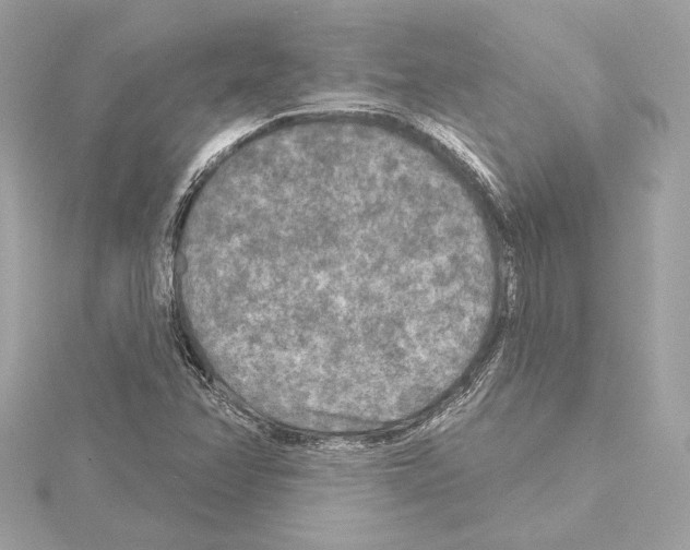 X0000114441358200911271629