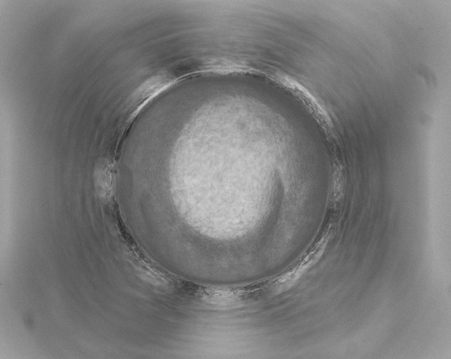 X0000114441361200911271629