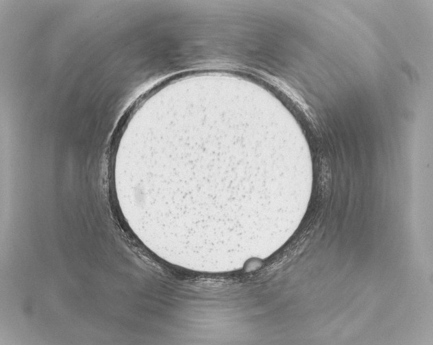 X0000114441364200911271629