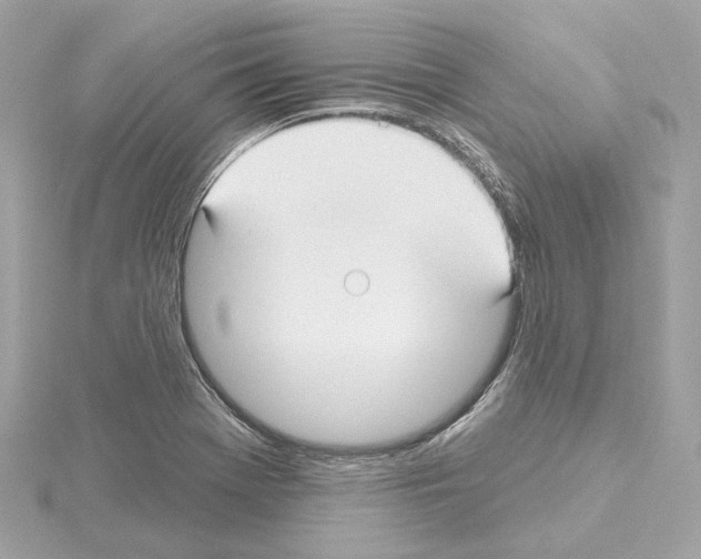 X0000114441369200911271629
