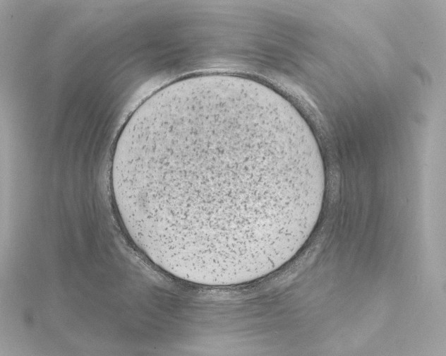 X0000114441374200911271629