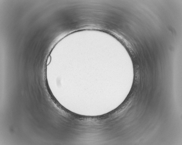 X0000114441375200911271629