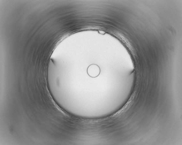 X0000114441377200911271629