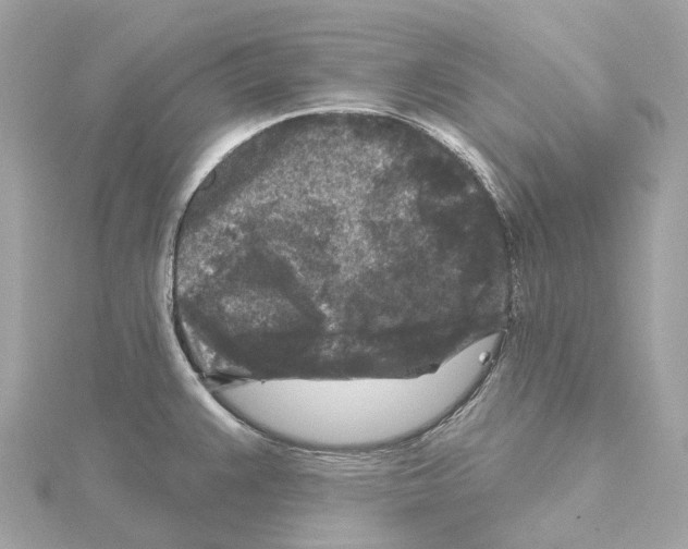 X0000114441383200911271629