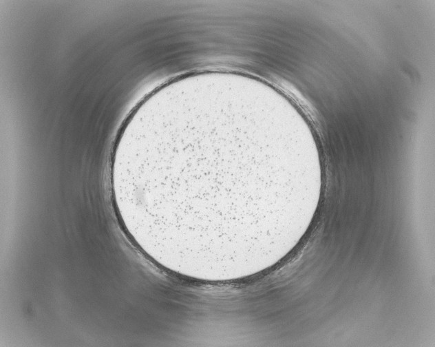 X0000114441384200911271629