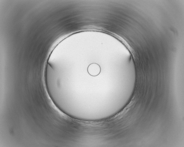 X0000114441387200911271629