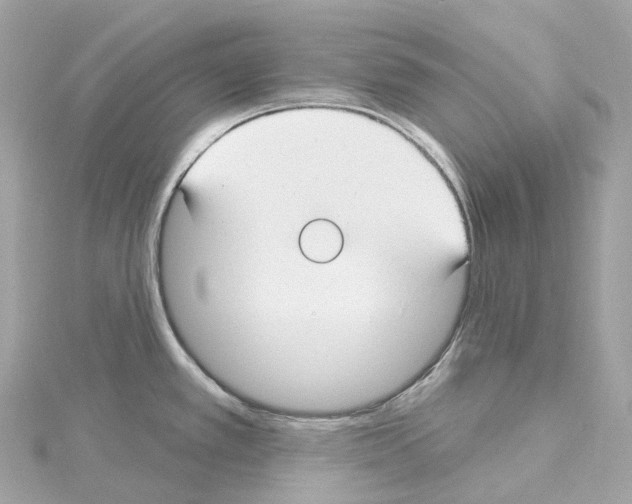 X0000114441389200911271629