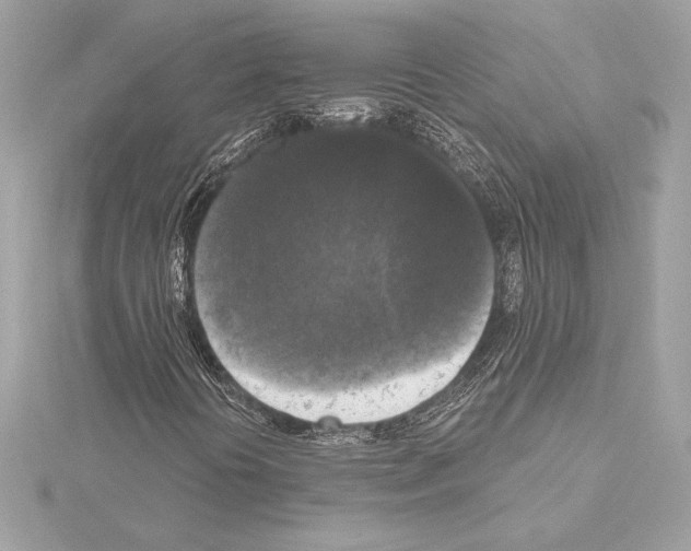 X0000114441394200911271628